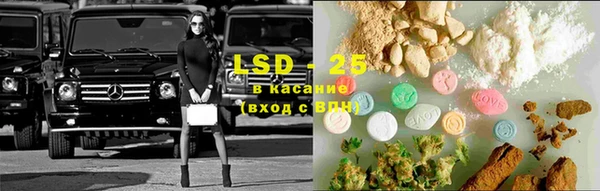дживик Вязьма